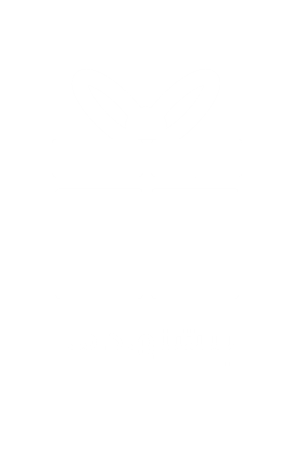 عنوان تب