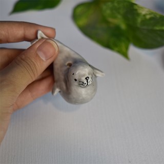 جاعودی طرح فک
