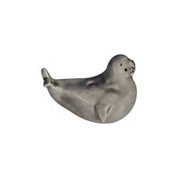 جاعودی طرح فک